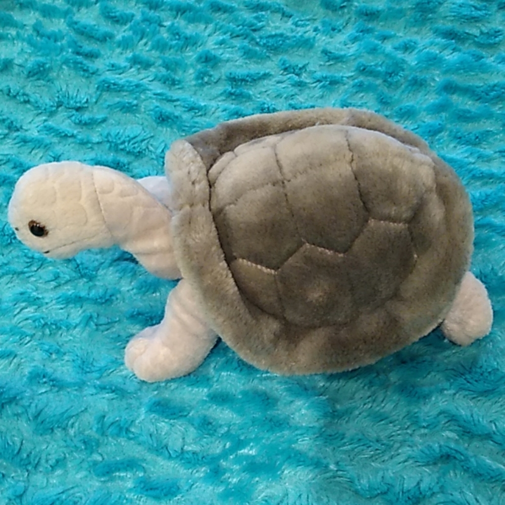 Turtle plush stuffed animal  2008 vintage